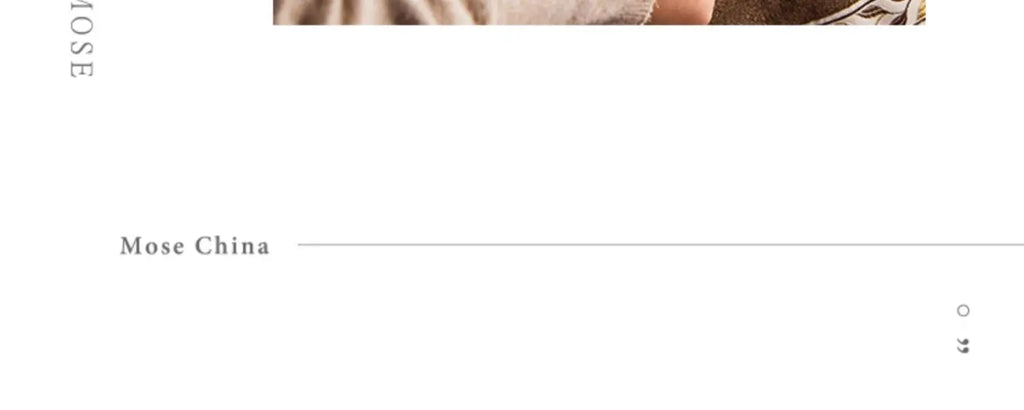 Fine China Kitchen Dinner Set Guests Gift Women Party Plates Dinnerware Sets Ceramic Breakfast Juego De Vajilla Completa Dishes