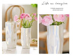 Ceramic Vase Flower Luxury Electroplated Silver Arrangement Irregular Porcelain Hydroponic Vase Ornament Interior Art Decoration