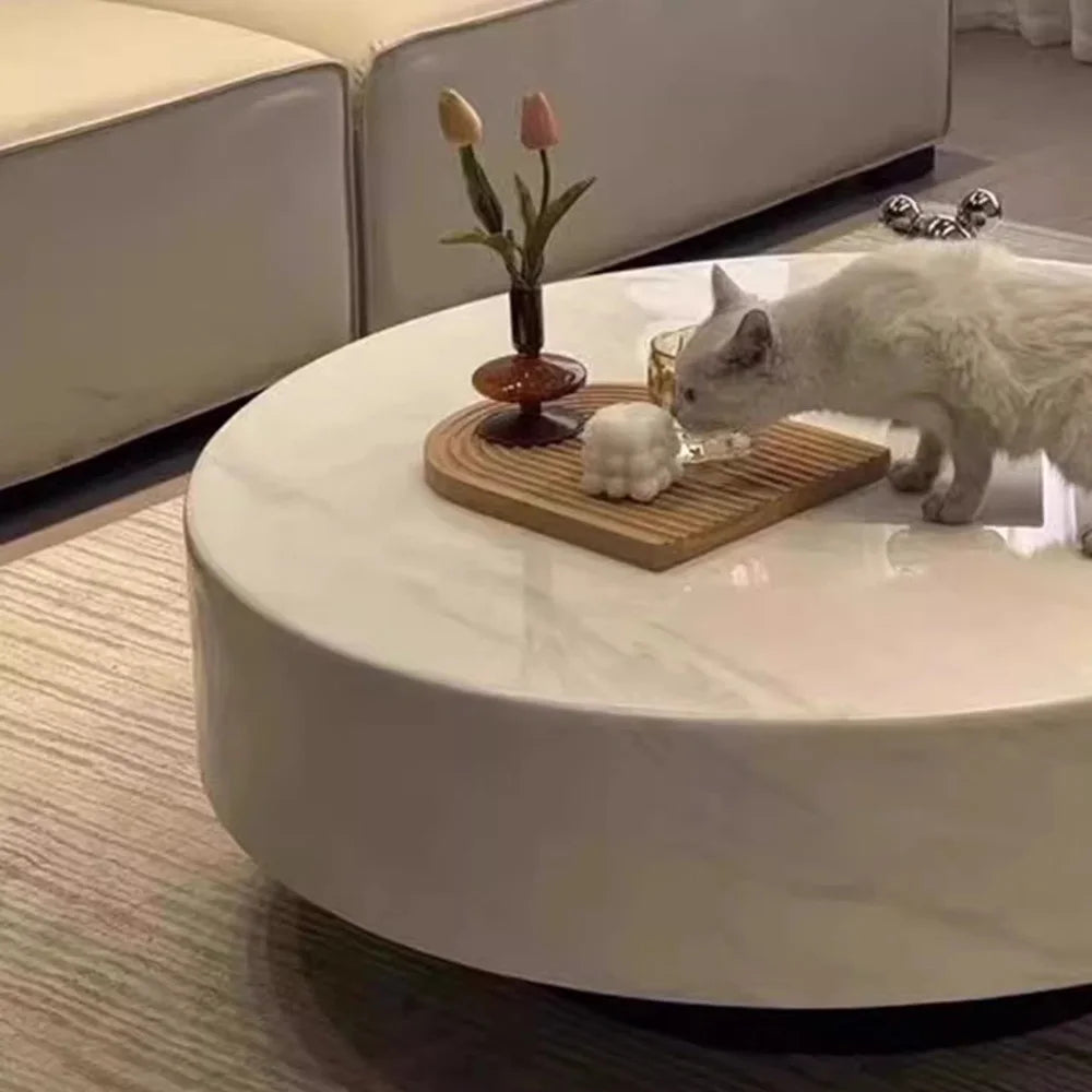 Luxury Modern Coffee Table Living Room Unique Storage Coffee Table Premium Minimalist Table Basse De Salon Living Room Furniture