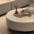 Luxury Modern Coffee Table Living Room Unique Storage Coffee Table Premium Minimalist Table Basse De Salon Living Room Furniture