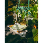 domestic western tableware vajilla completa de platos 24 piezas plate sets  dinner plate ceramic kitchen plates sets посуда