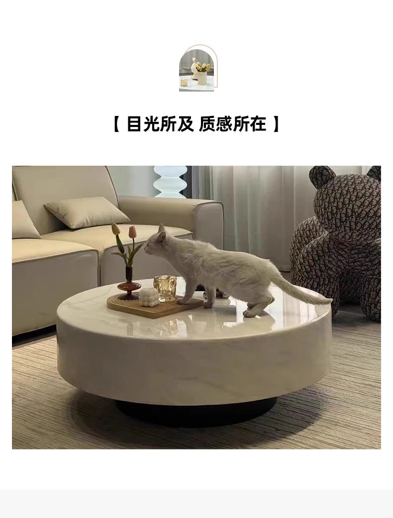 Luxury Modern Coffee Table Living Room Unique Storage Coffee Table Premium Minimalist Table Basse De Salon Living Room Furniture